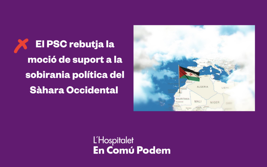 Quines mocions portarem al ple municipal d’abril?